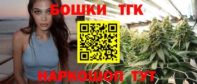spice Гусев