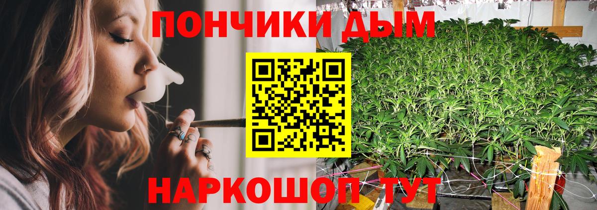 Конопля сатива  Канабис тримм  Сатка  Вход с VPN 